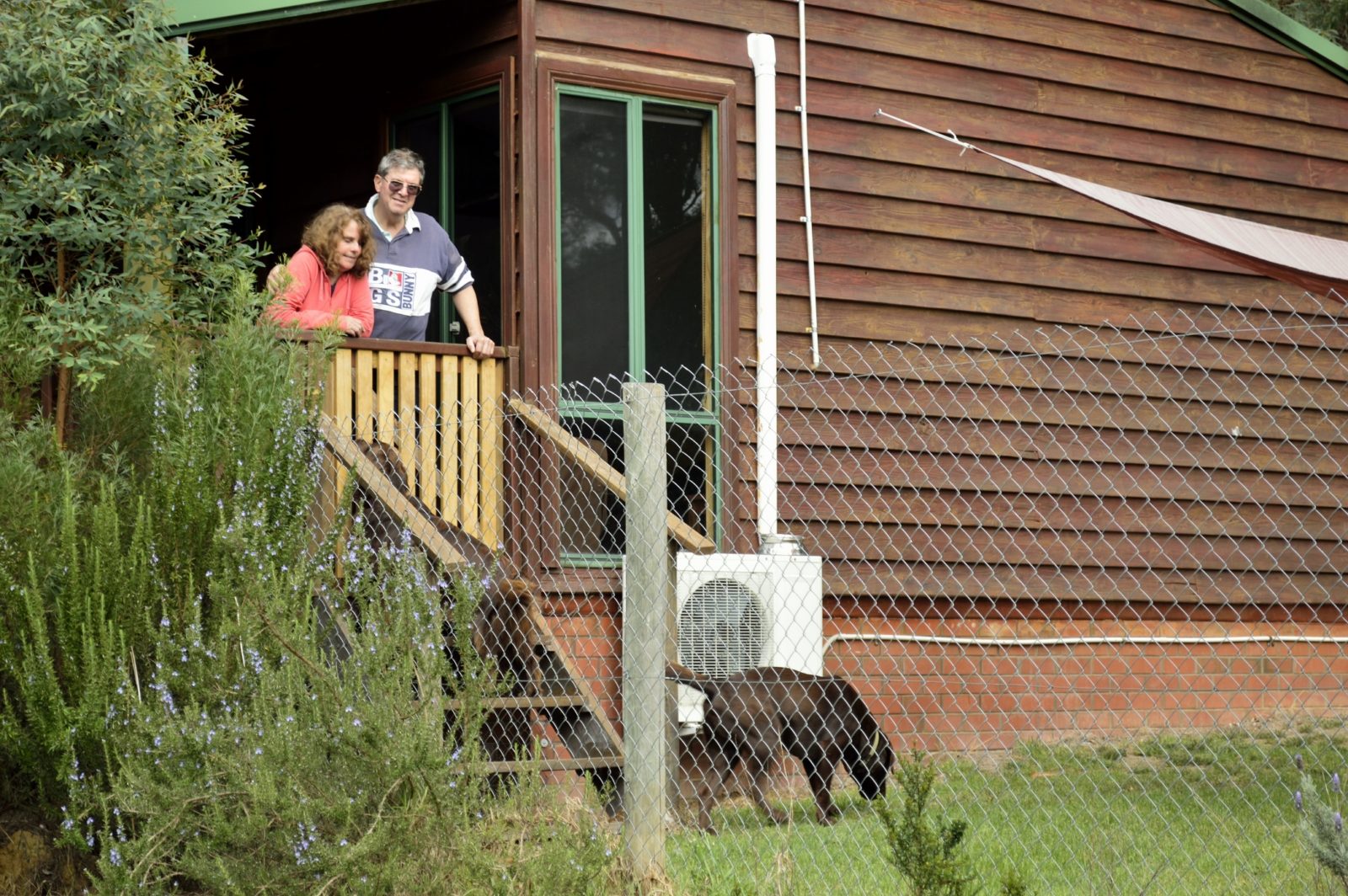 Pet Friendly Cottages Diamond Forest Farm Stay